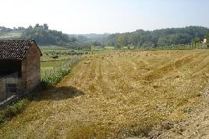 We are continually refining and adding to our portfolio of Nice Places to stay in Italy, so visit our site regularly to find somewhere just that little bit special. All our places to stay are presented with photos and descriptions taken and selected by us personally to give an impression as true to the reality as we can. All places are chosen by our team here in Italy for their combination of price, quality, charm and location. We work in partnership with family run hotels, guest houses and self-catering accommodations. This is NOT an unverified 'web portal' or online directory - we select only those places which we believe make excellent places to base a 1 week holiday or longer.